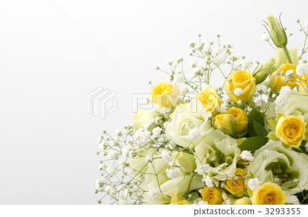 黃色的花束 黃色的花束 3293355