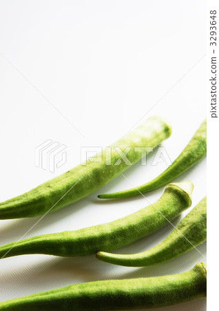 Okra Okra 3293648