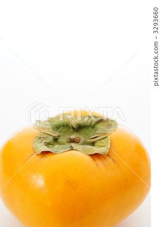 persimmon 3293660