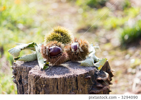 Igakuri Igakuri 3294090