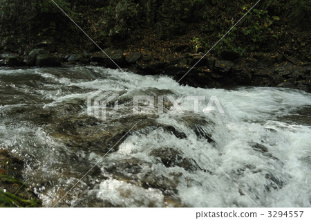 Fish stop waterfall Fish stop waterfall 3294557