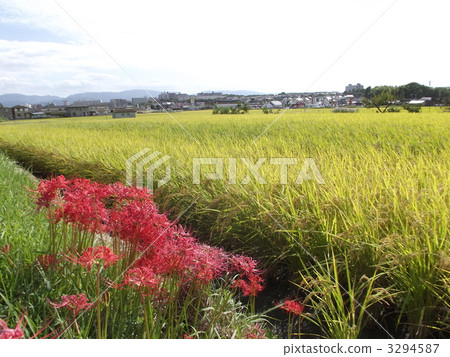 田園 田園風景 收穫的季節 3294587
