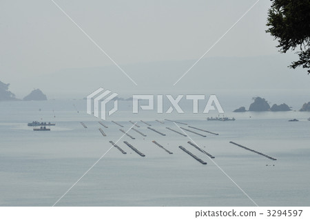 Ishinomaki oyster shelf 3294597