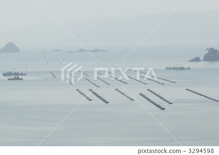 Ishinomaki oyster shelf 3294598