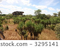 kakadu national park, northern territory, oceania 3295141