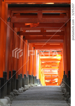千本牌坊 伏見稲荷 神社和廟宇 3295207