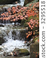 Autumn leaves and streams 3295518