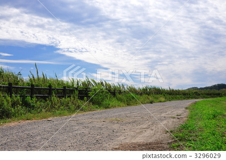 road  3296029