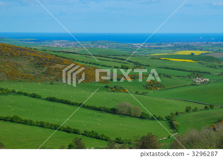 meadow, pasture, hill 3296287