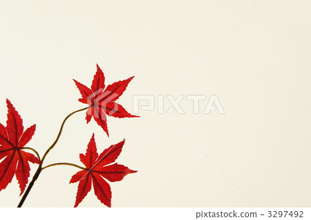 秋天的樹葉 秋天的樹葉 3297492
