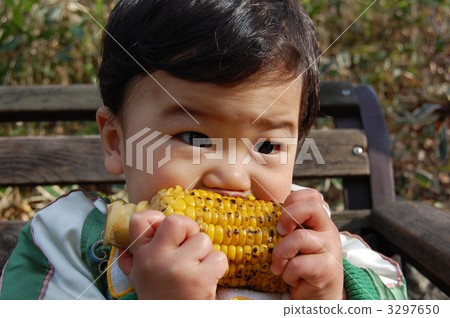 Grilled corn Grilled corn 3297650