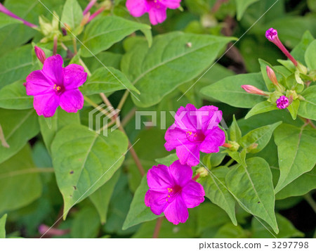 Funny Pictures 3297798