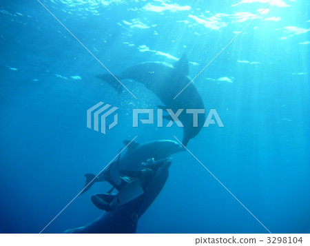 serenity, tranquility, curiosity 3298104