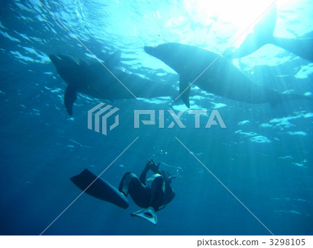 dip, dive, evade 3298105