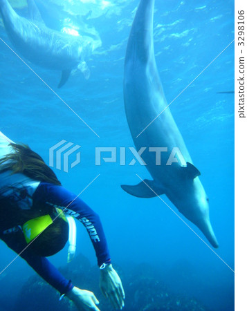 serenity, tranquility, curiosity 3298106