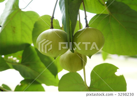 Sinnabraragiri 3298230