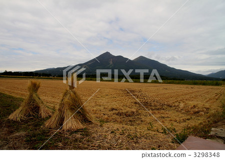 水稻切割和萬代山 水稻切割和萬代山 3298348