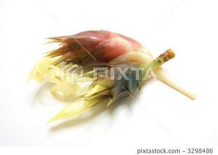 秋花2件水平位置 3298486