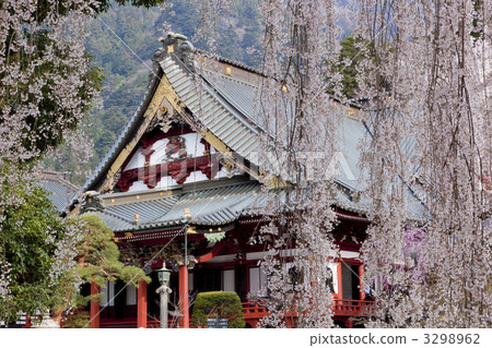 Cherry blossoms at Chofuji temple 3298962