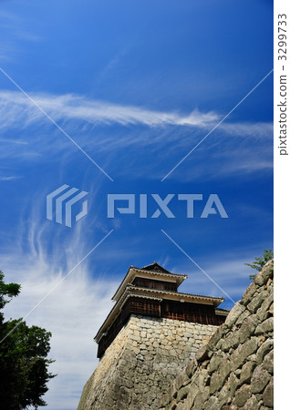 Matsuyama Castle 3299733