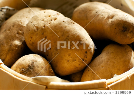 may queen potatoes, potato, vegetables 3299969