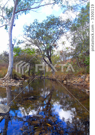 In the vicinity of Thai Cornell Campground In the vicinity of Thai Cornell Campground 3300119