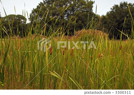 At the Autumn · Expo Park 3300311