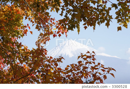  富士山和富士山 3300528
