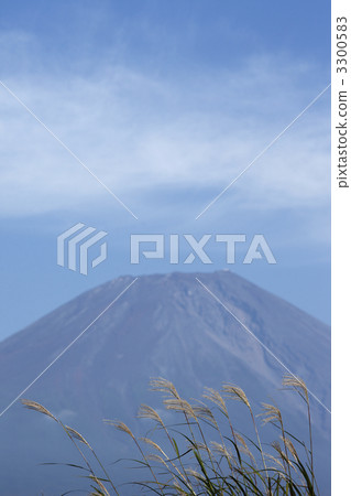 Susuki和富士山 3300583