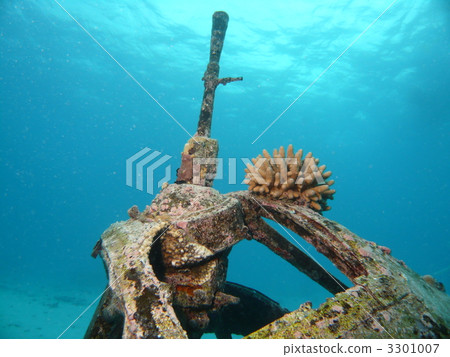 機槍和珊瑚 3301007