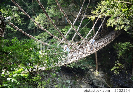 Kazura Bridge in Iya 3302354