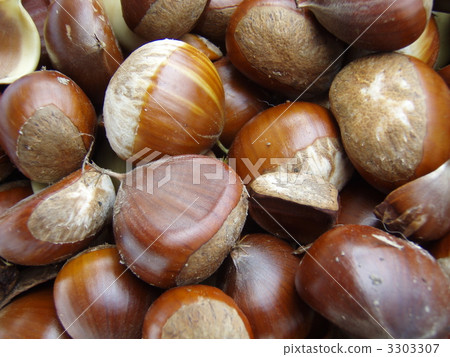 Chestnut Chestnut 3303307