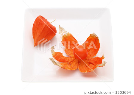 地面櫻桃 3303694