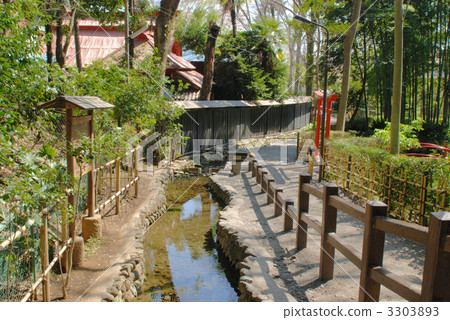 池塘春天和春天一樣的鷹媽媽組 3303893