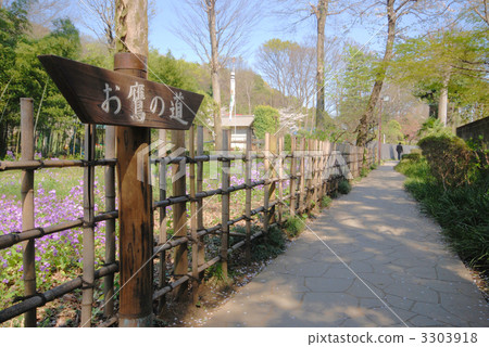 Hawk path Hawk path 3303918