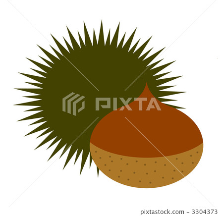 Chestnut Chestnut 3304373