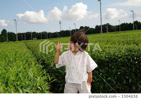 茶場和兒童 3304838