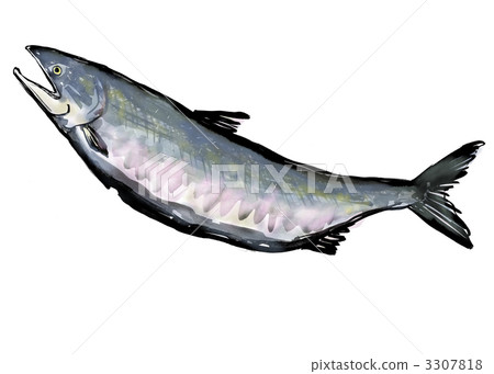 Autumn Salmon Sumire Art Illustration 3307818