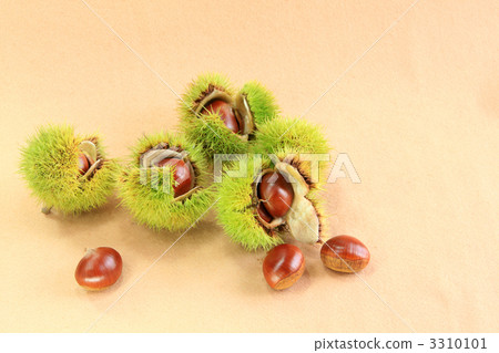 秋天的味道 3310101