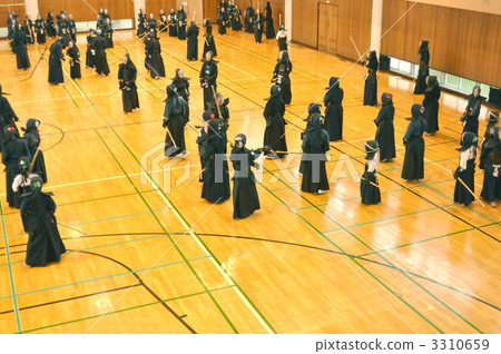 kendo, martial arts, man's formal divided skirt 3310659