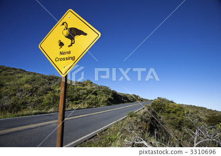 Nene Crossing sign in Maui, Hawaii. 3310696