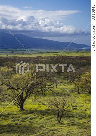 Maui, Hawaii. 3310942