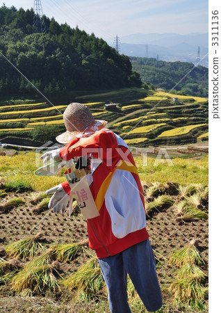 scarecrow, figurehead, dense wood 3311136