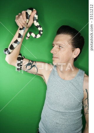 Man holding California Kingsnake. Man holding California Kingsnake. 3311212