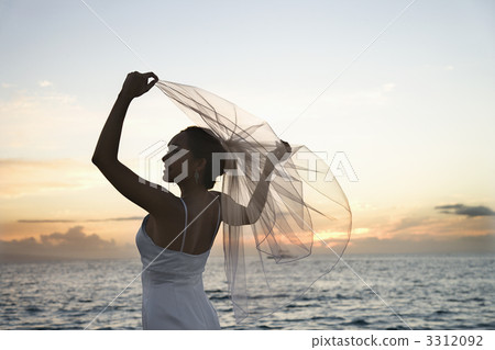 Bride holding out veil on beach. Bride holding out veil on beach. 3312092