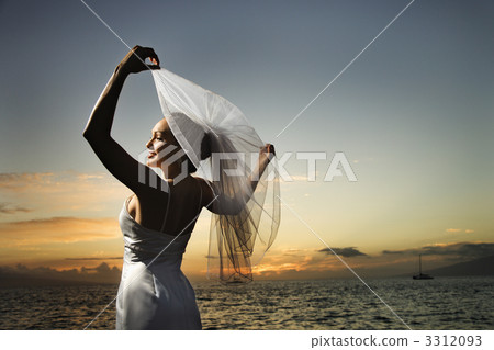 Bride holding out veil on beach. 3312093