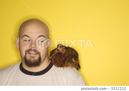 Man looking at chicken on shoulder. 3312112