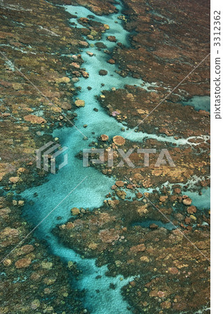 Tropical coral reef. 3312362