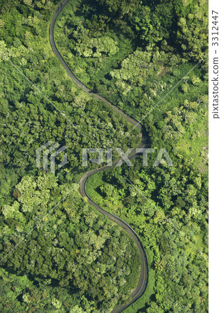 Road through forest. 3312447