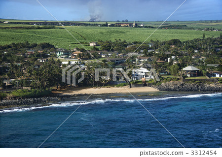Houses on Maui coast. Houses on Maui coast. 3312454